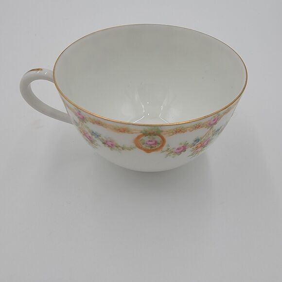 Vintage MZ Austria Habsburg China Teacup Saucer Floral Porcelain Gold Trim - Picture 7 of 11